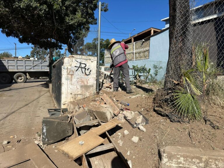 WhatsApp Image 2025-11-08 at 12.57.25 PM