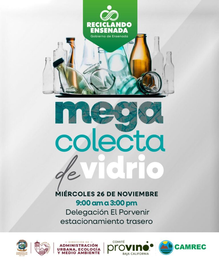 WhatsApp Image 2025-11-09 at 10.55.36 AM