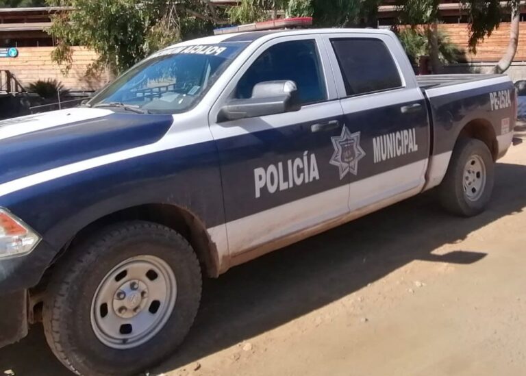 WhatsApp Image 2025-11-09 at 3.19.48 PM