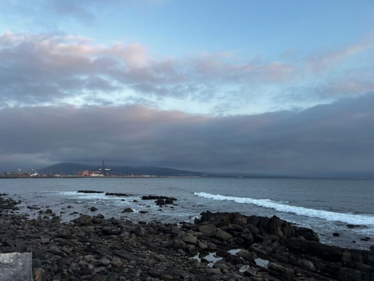 WhatsApp Image 2025-11-10 at 1.01.49 PM