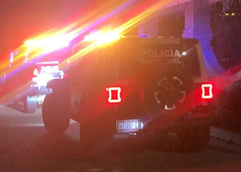 WhatsApp Image 2025-11-13 at 3.05.32 PM