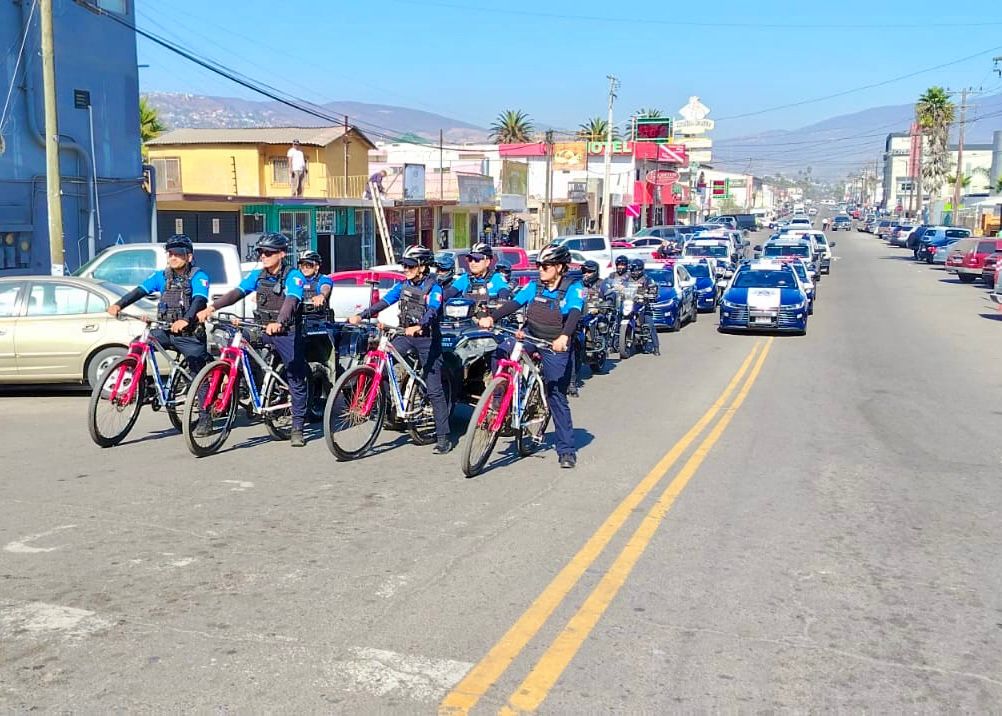 WhatsApp Image 2025-11-13 at 3.05.45 PM