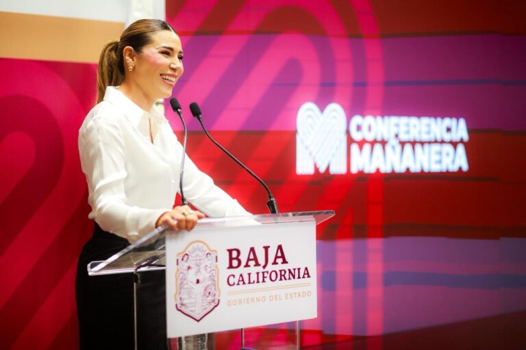 WhatsApp Image 2025-11-13 at 3.08.14 PM