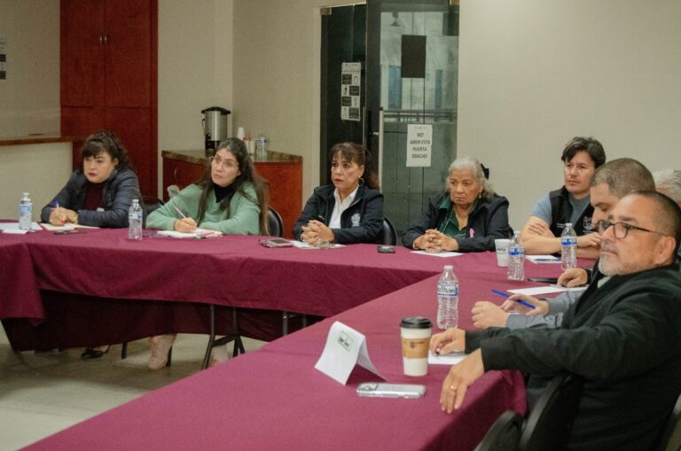 WhatsApp Image 2025-11-13 at 3.09.48 PM