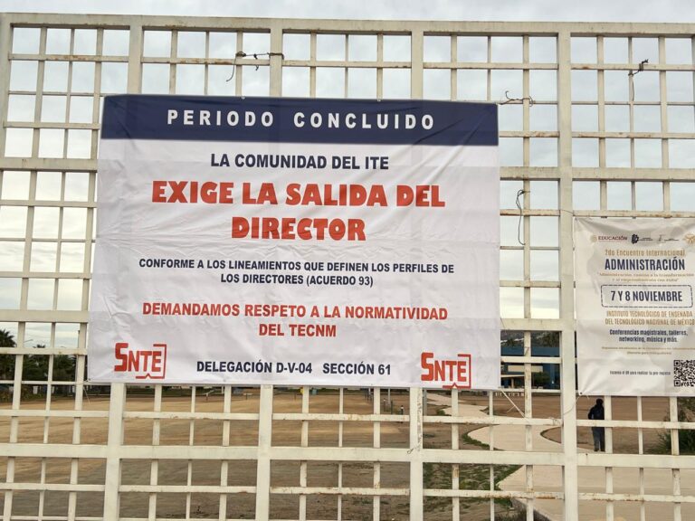 WhatsApp Image 2025-11-14 at 6.51.55 PM