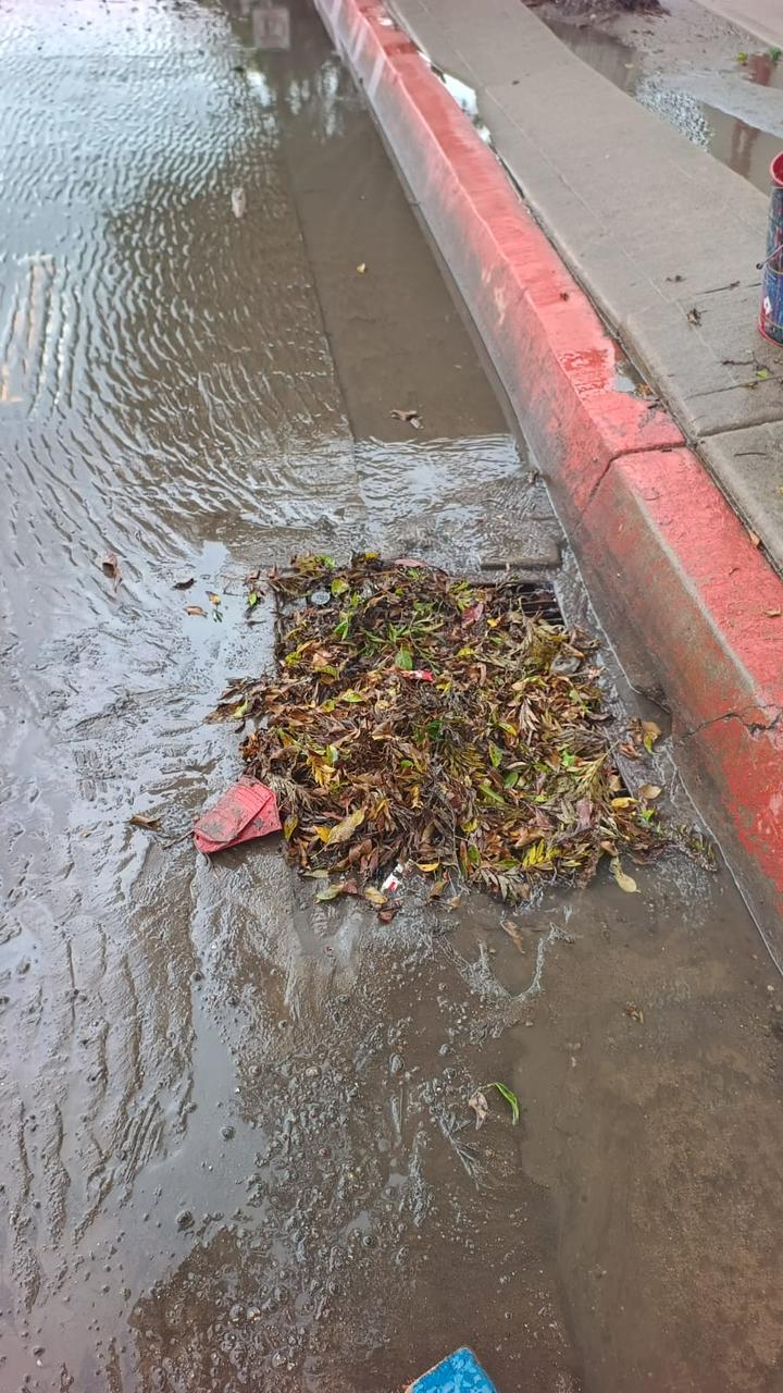 WhatsApp Image 2025-11-15 at 2.13.46 PM