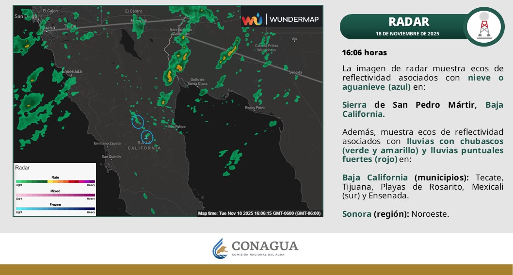 WhatsApp Image 2025-11-18 at 2.43.27 PM (1)