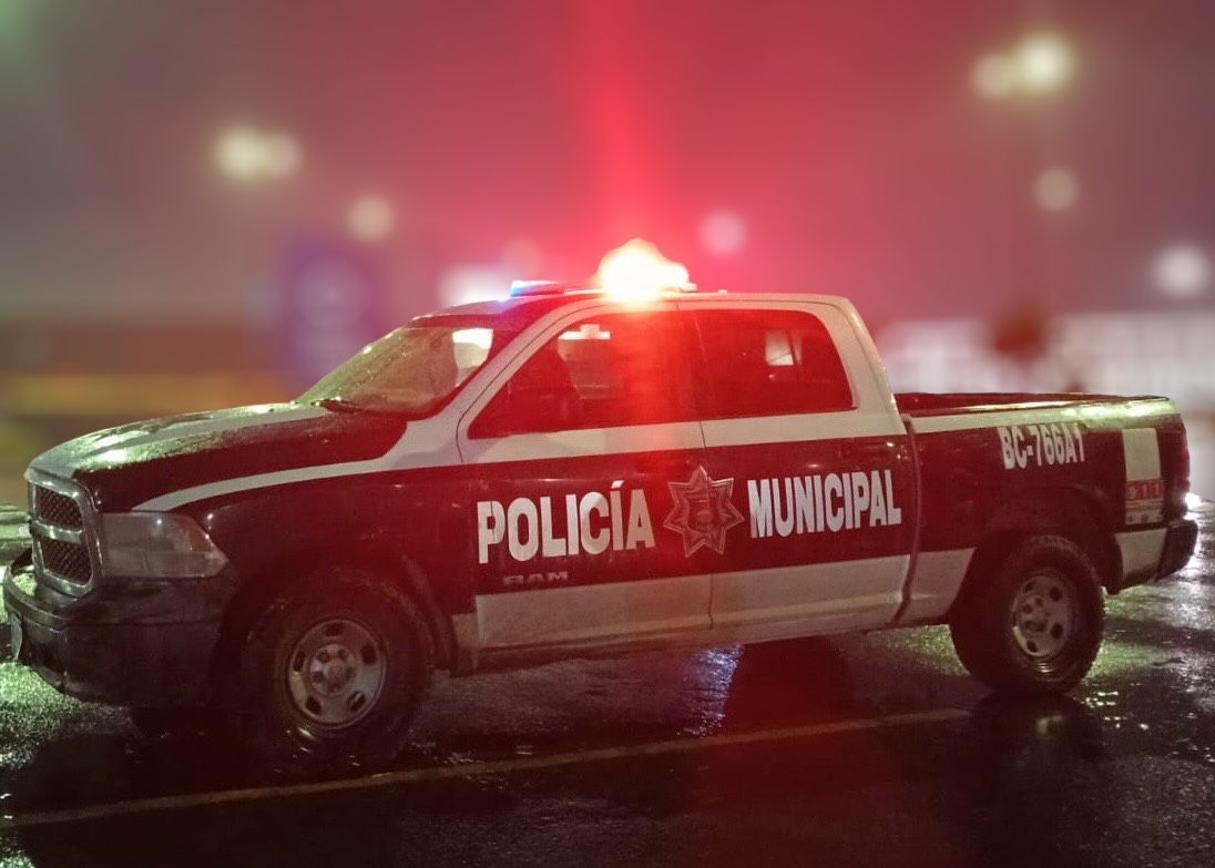 WhatsApp Image 2025-11-18 at 2.46.11 PM (1)