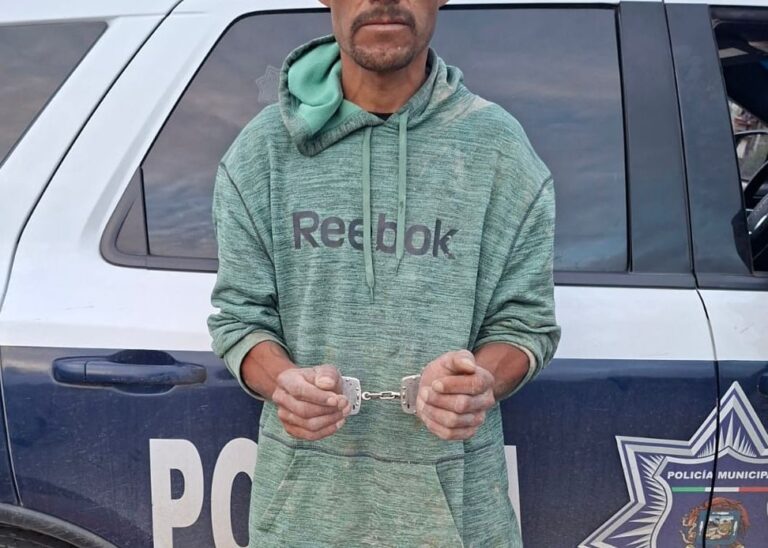 WhatsApp Image 2025-11-18 at 2.46.11 PM