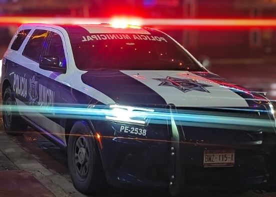 WhatsApp Image 2025-11-19 at 3.30.40 PM