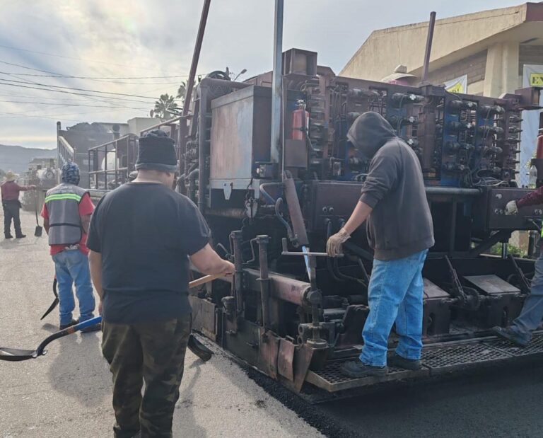 WhatsApp Image 2025-11-27 at 3.40.55 PM