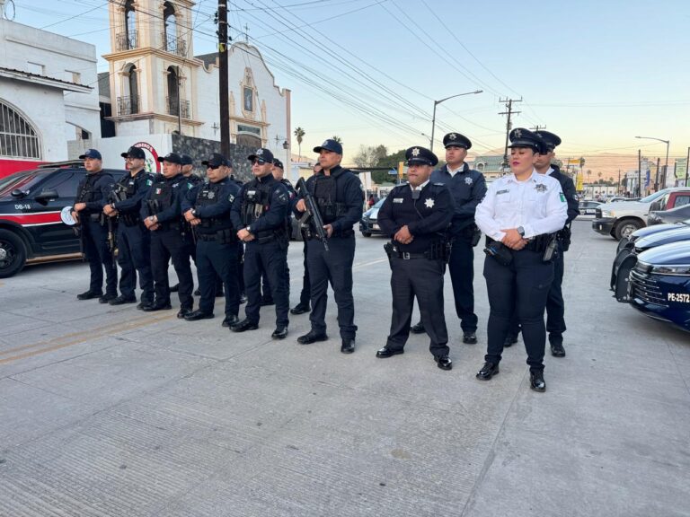 WhatsApp Image 2025-11-28 at 5.57.38 PM