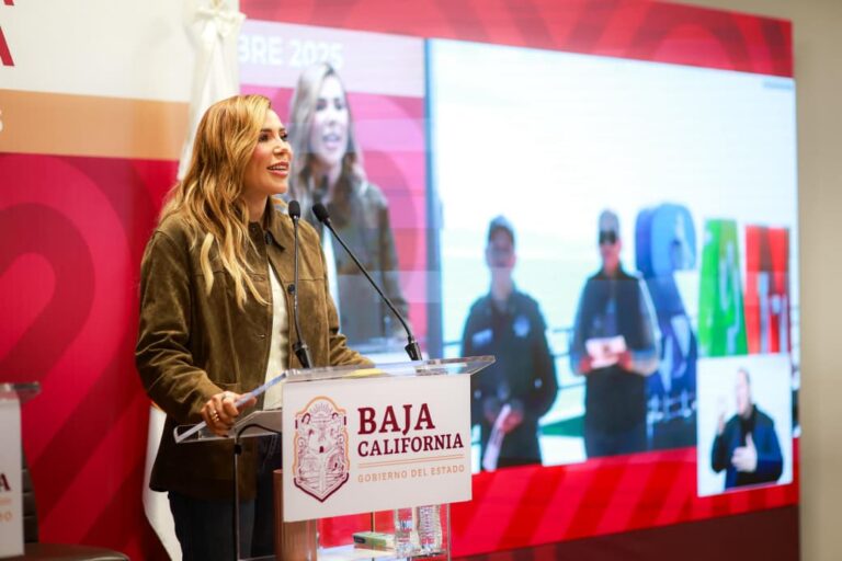 WhatsApp Image 2025-12-03 at 3.17.01 PM