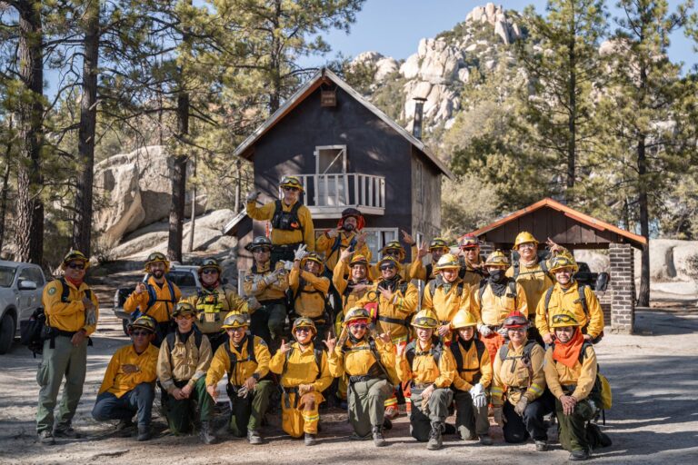 WhatsApp Image 2025-12-05 at 3.56.18 PM