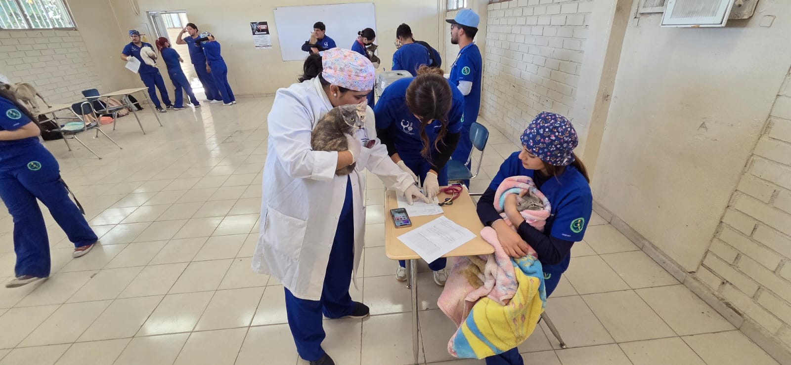 WhatsApp Image 2025-12-06 at 11.59.59 AM