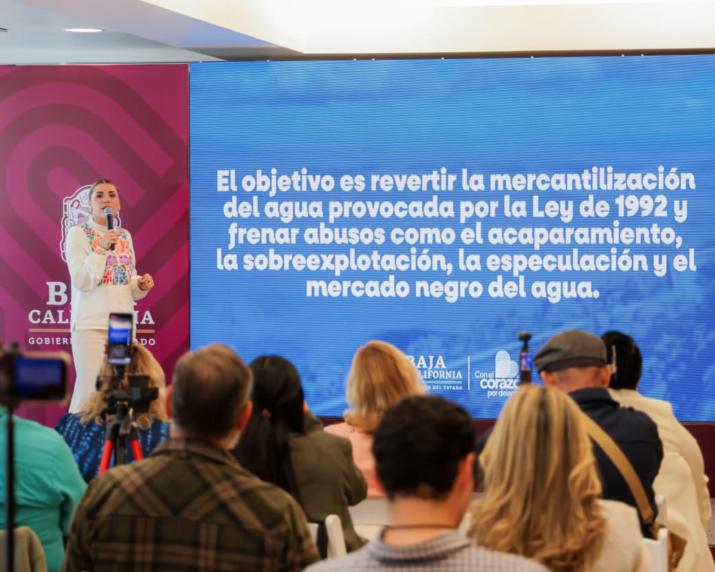 WhatsApp Image 2025-12-09 at 4.27.02 PM