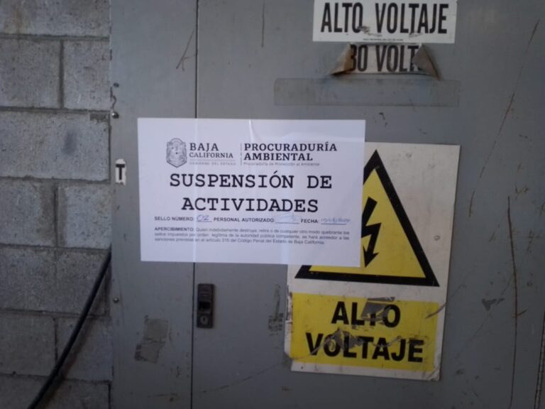 WhatsApp Image 2025-12-09 at 5.47.02 PM (1)