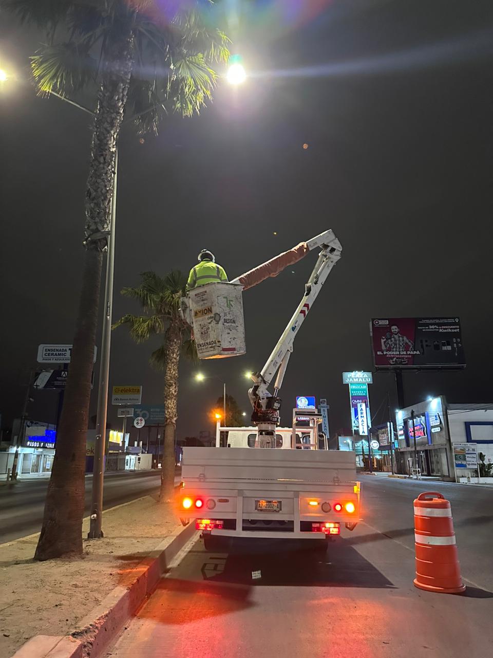 WhatsApp Image 2025-12-10 at 2.31.34 PM