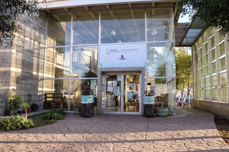 WhatsApp Image 2025-12-11 at 10.25.06 AM