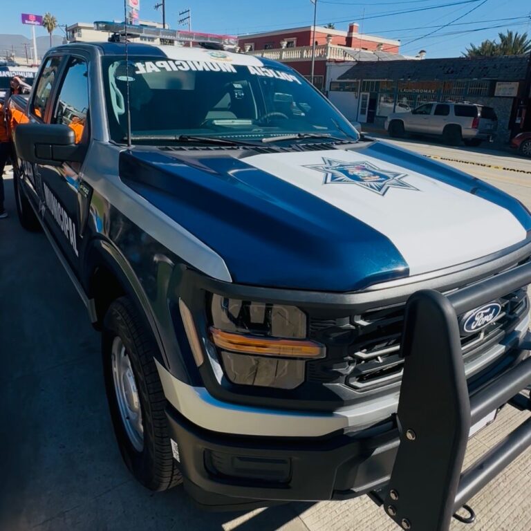 WhatsApp Image 2025-12-11 at 2.55.56 PM