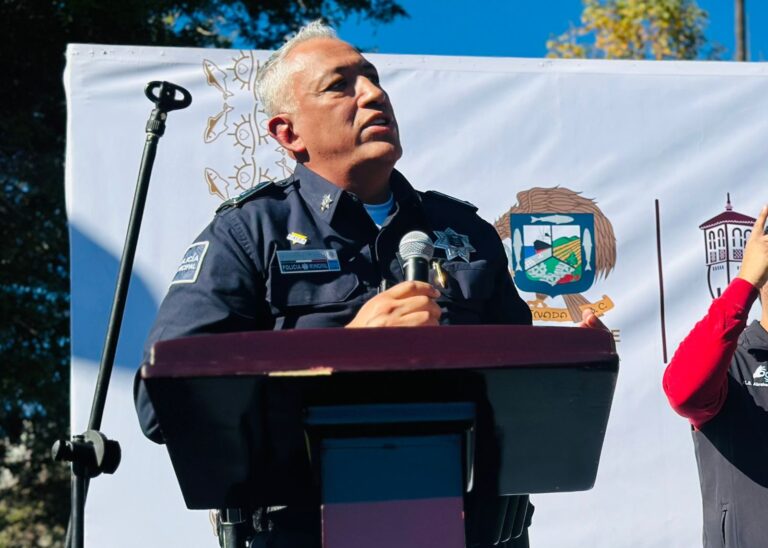 WhatsApp Image 2025-12-11 at 2.55.57 PM