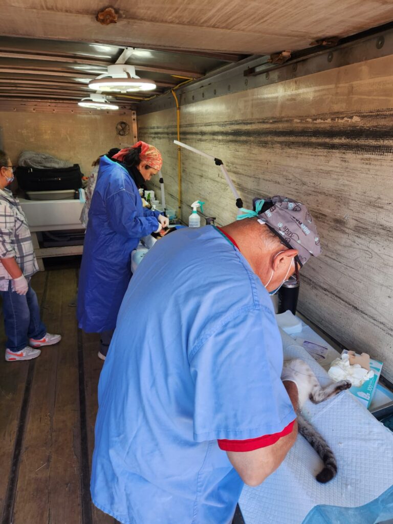 WhatsApp Image 2025-12-15 at 2.23.58 PM