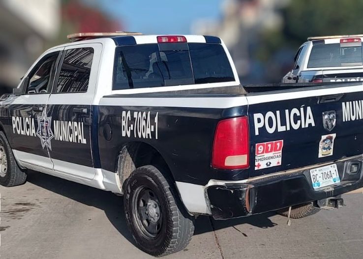 WhatsApp Image 2025-12-19 at 2.16.21 PM