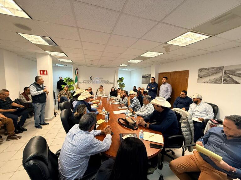 WhatsApp Image 2025-12-19 at 5.14.20 PM