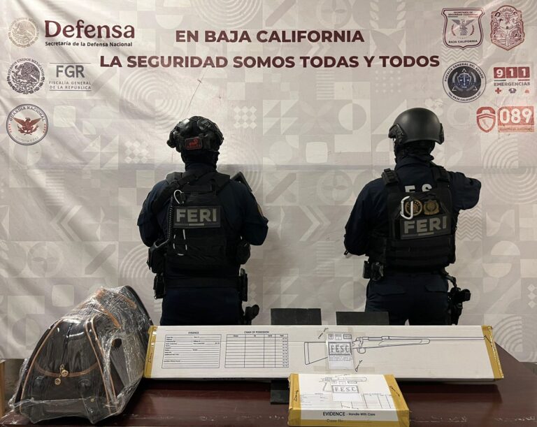 WhatsApp Image 2025-12-20 at 3.50.54 PM