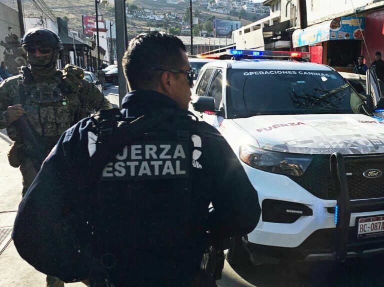 WhatsApp Image 2025-12-22 at 2.47.30 PM