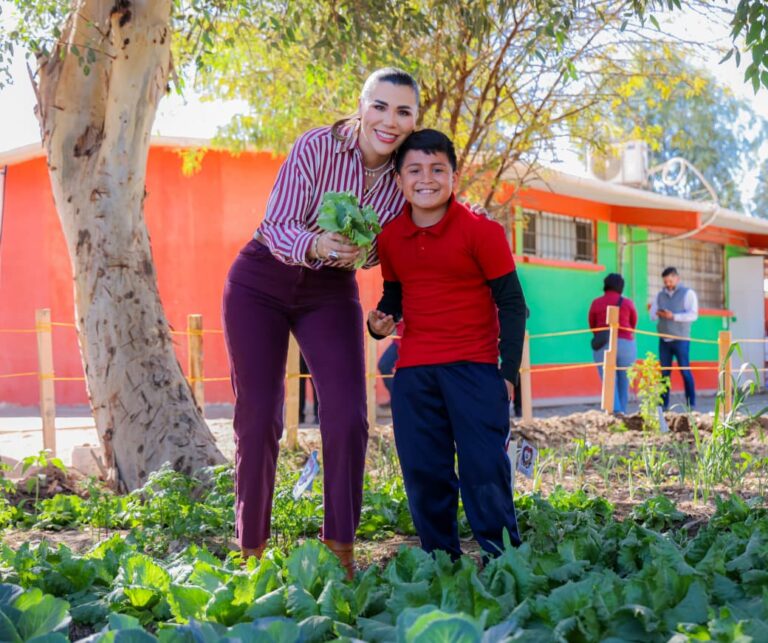 WhatsApp Image 2025-12-22 at 3.17.13 PM