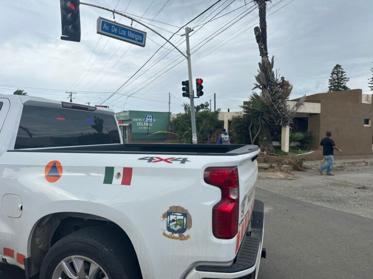 WhatsApp Image 2025-12-25 at 4.32.50 PM