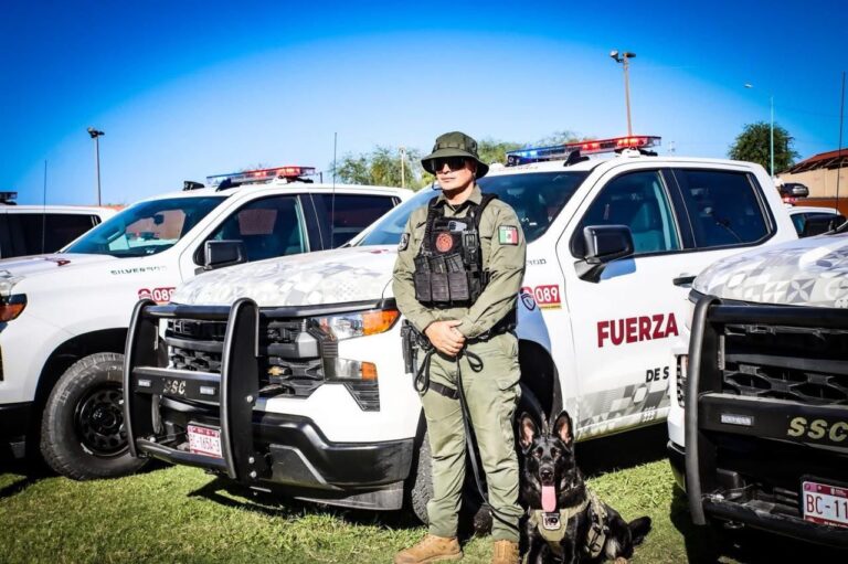 WhatsApp Image 2025-12-26 at 11.32.23 AM