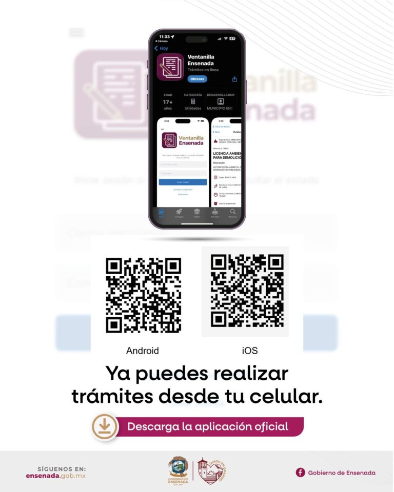 WhatsApp Image 2025-12-27 at 11.40.39 AM