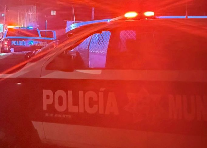 WhatsApp Image 2025-12-27 at 12.02.56 PM (1)