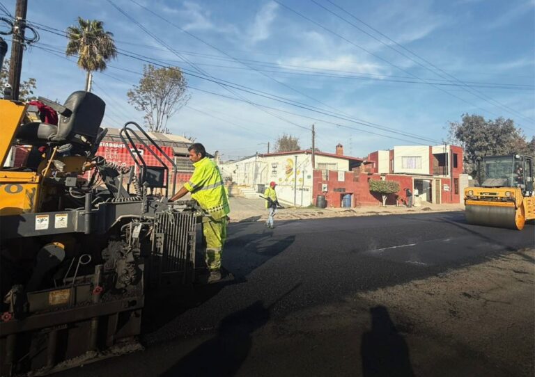 WhatsApp Image 2025-12-28 at 11.47.55 AM (2)