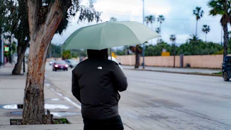 WhatsApp Image 2025-12-28 at 11.47.55 AM