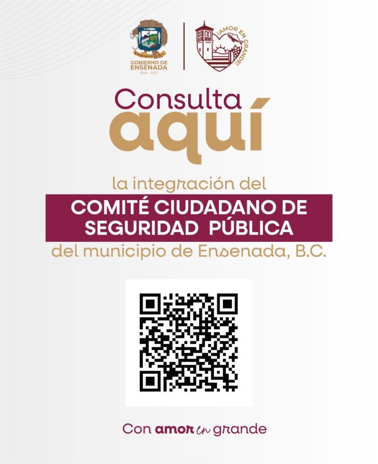 WhatsApp Image 2025-12-29 at 10.36.54 AM