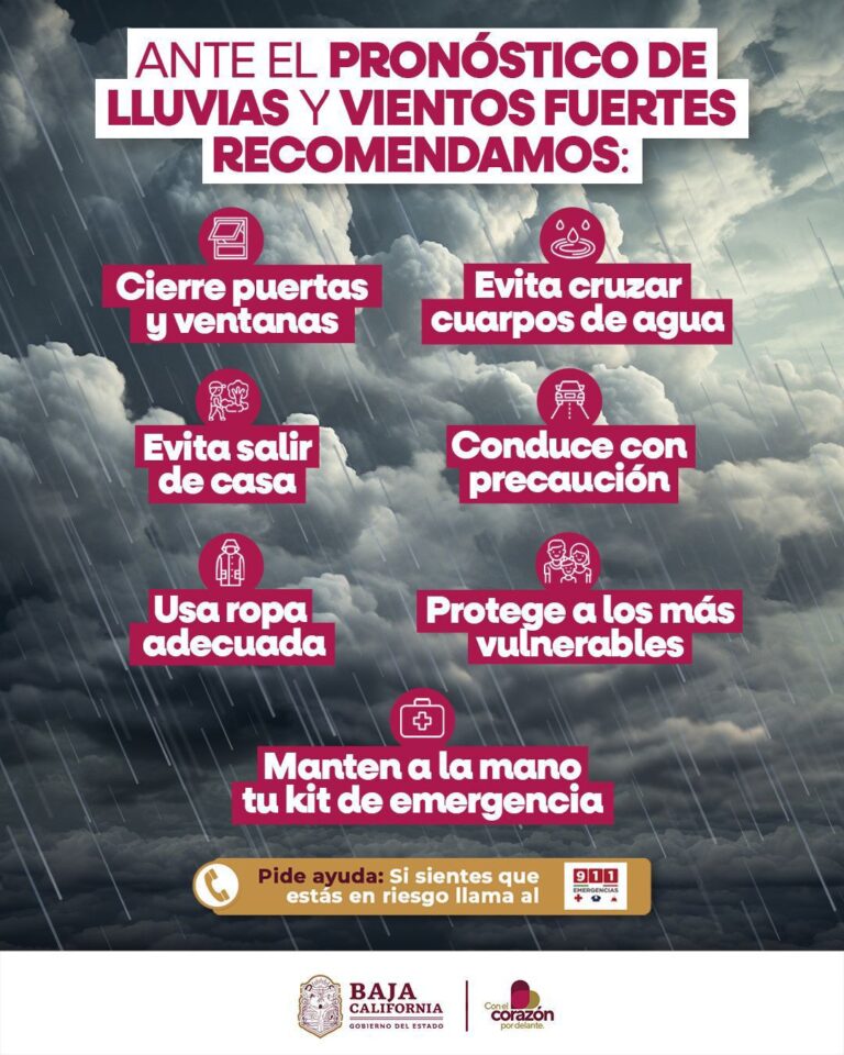 WhatsApp Image 2025-12-30 at 3.00.51 PM