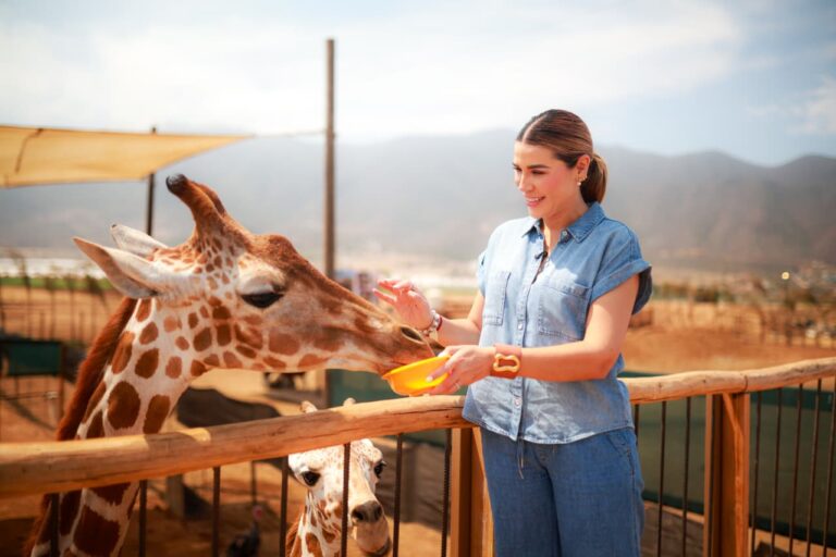 WhatsApp Image 2025-12-31 at 3.19.47 PM