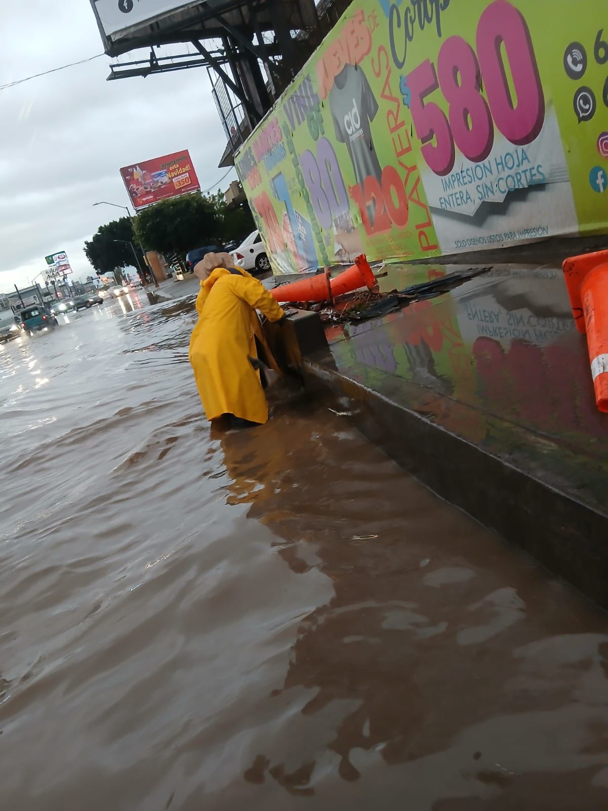 WhatsApp Image 2025-12-31 at 5.10.16 PM