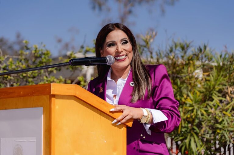 WhatsApp Image 2026-01-01 at 1.13.23 PM