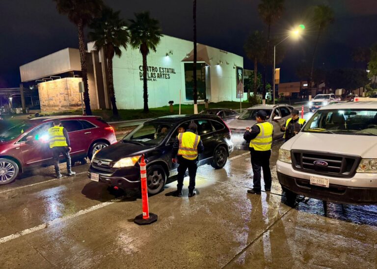 WhatsApp Image 2026-01-01 at 12.18.04 PM