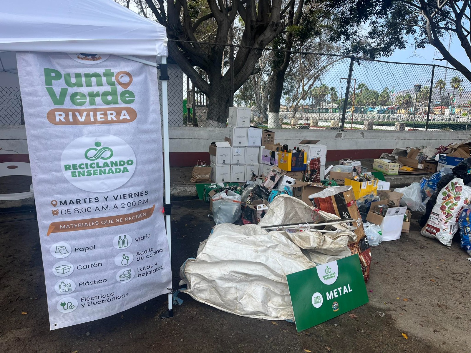 WhatsApp Image 2026-01-02 at 4.46.52 PM