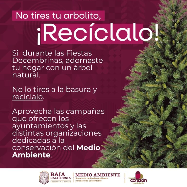 WhatsApp Image 2026-01-08 at 3.31.01 PM