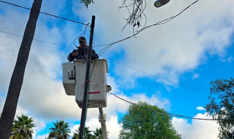 WhatsApp Image 2026-01-09 at 2.10.55 PM