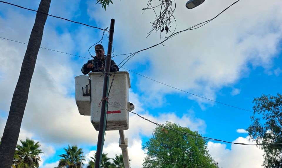 WhatsApp Image 2026-01-09 at 2.10.55 PM