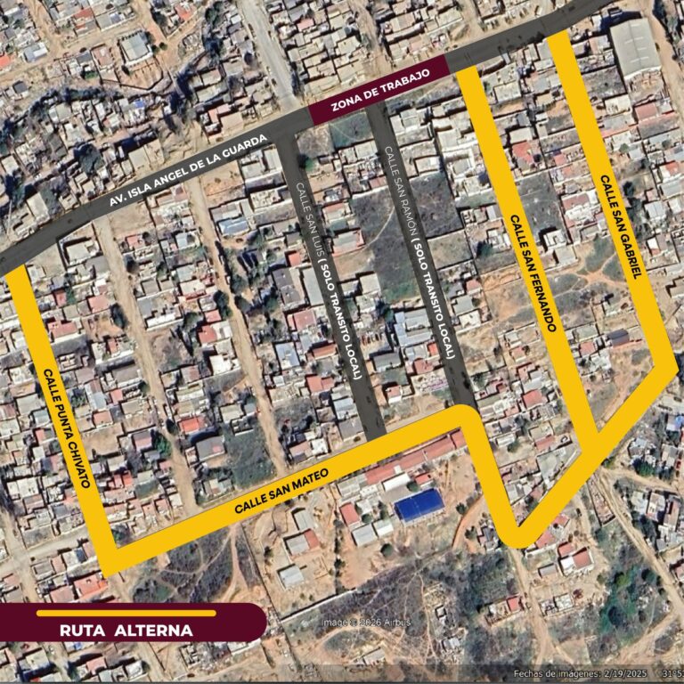 WhatsApp Image 2026-01-10 at 3.55.59 PM