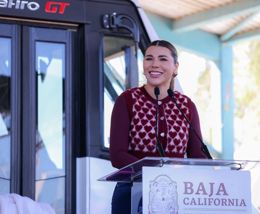 WhatsApp Image 2026-01-10 at 5.36.41 PM