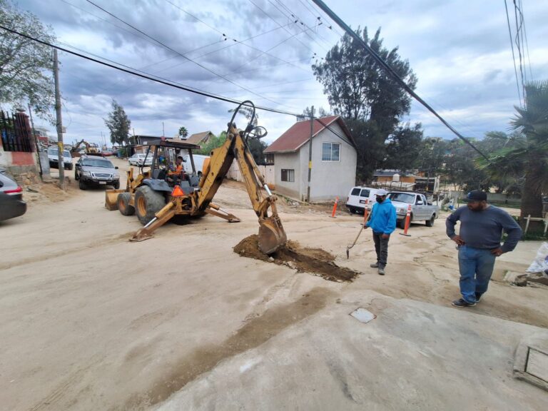 WhatsApp Image 2026-01-11 at 2.00.09 PM (1)